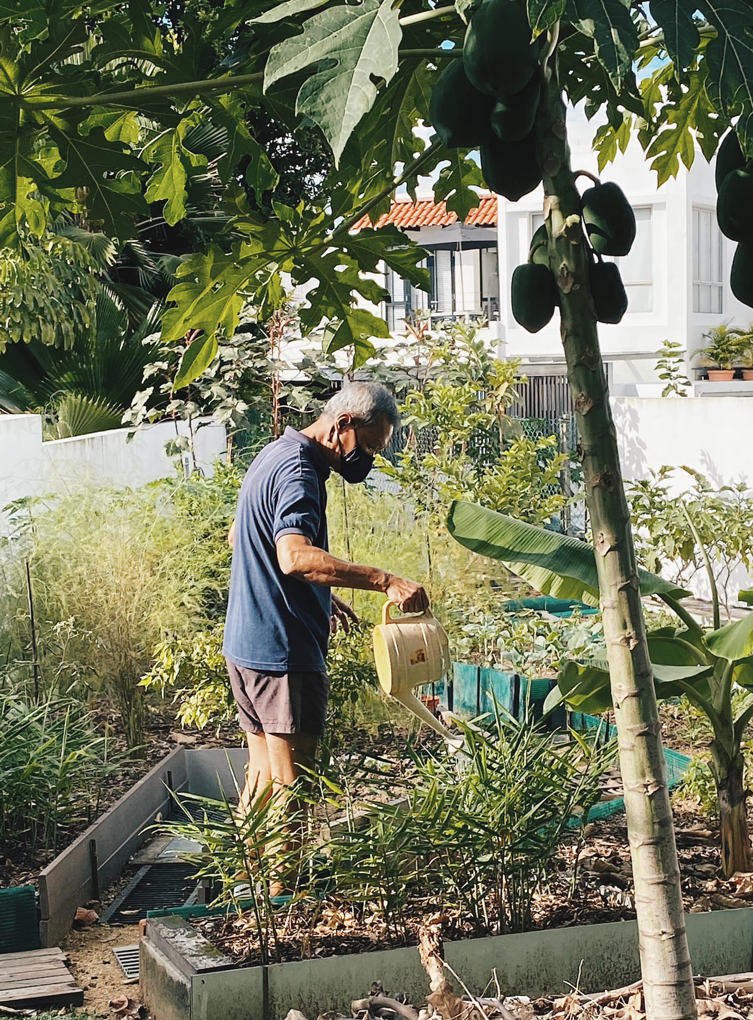 Community Gardens East Coast Plan