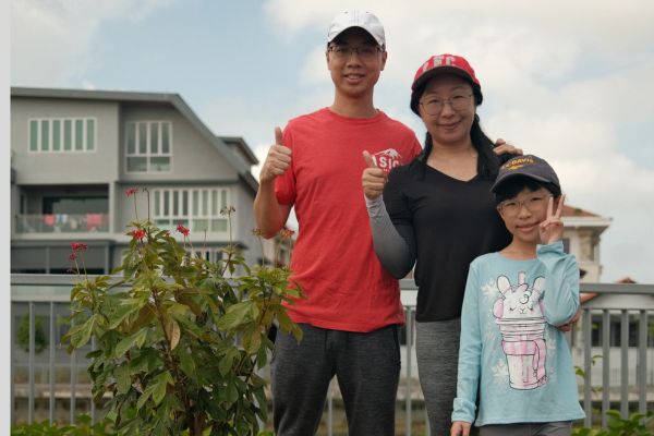 Tree Planting East Coast Plan